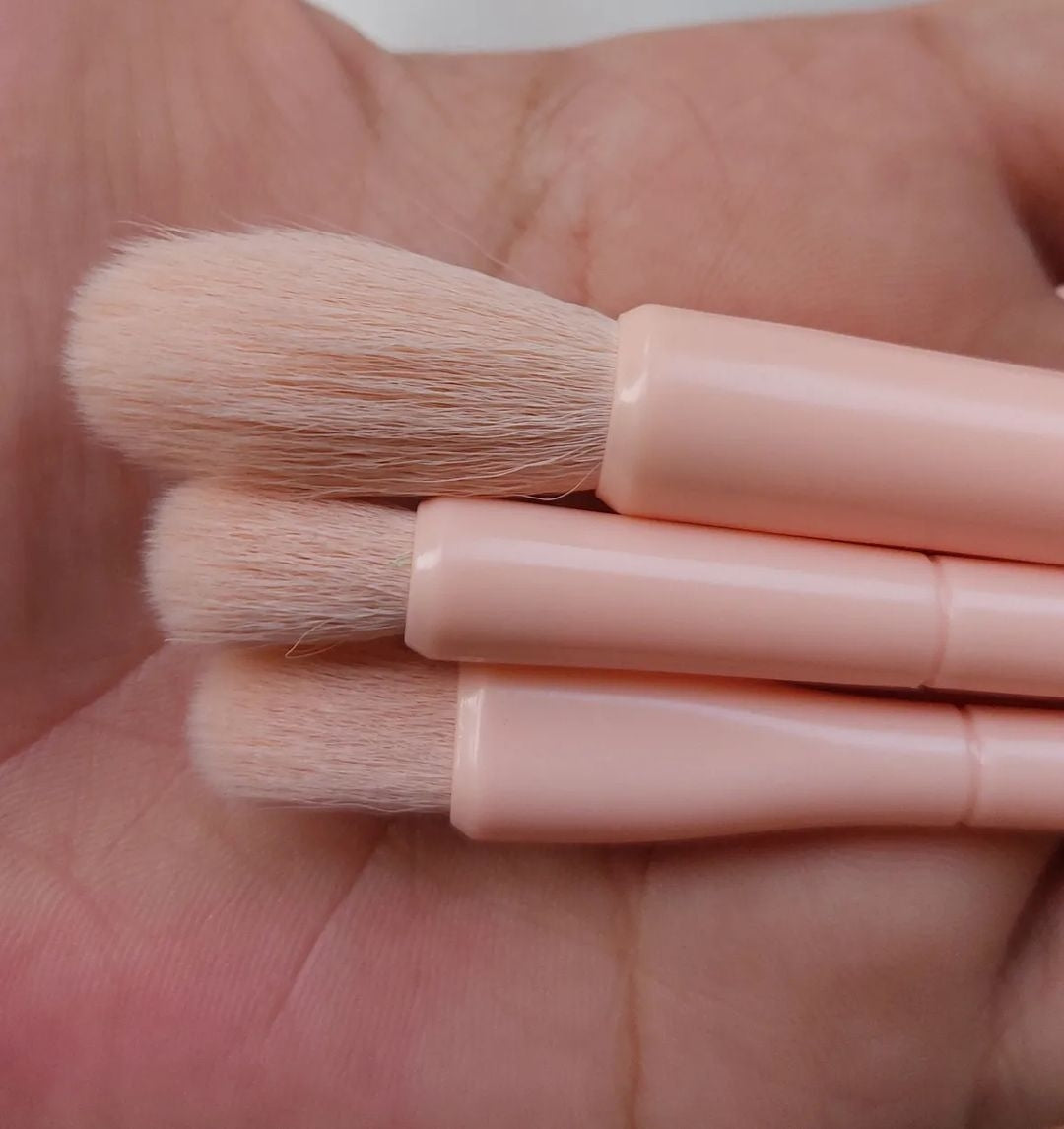 nude brush set