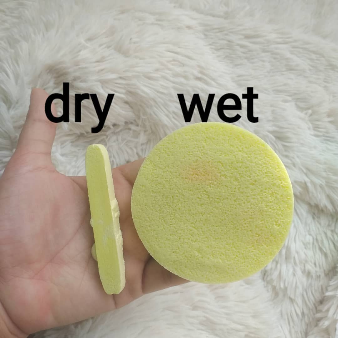 cleansing sponge