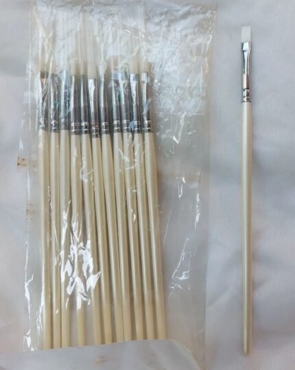 Deal of 11 brushes in 499 only