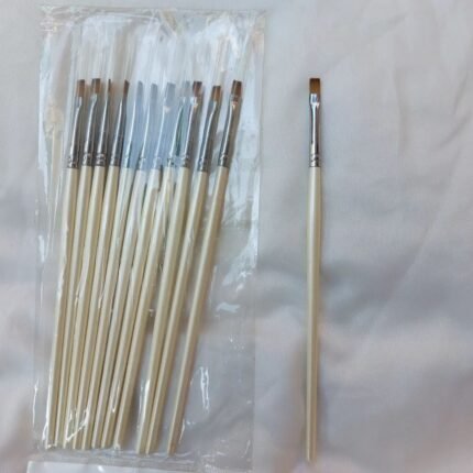 Deal of 11 brushes in 499 only