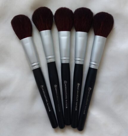 Deal of 11 brushes in 499 only
