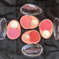 dodo girl blush and highlighter